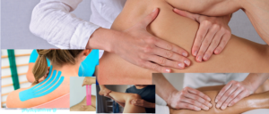 physiopainfree1.png