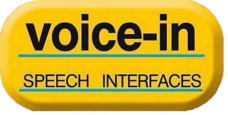 voice_in_logo-yannis.JPG