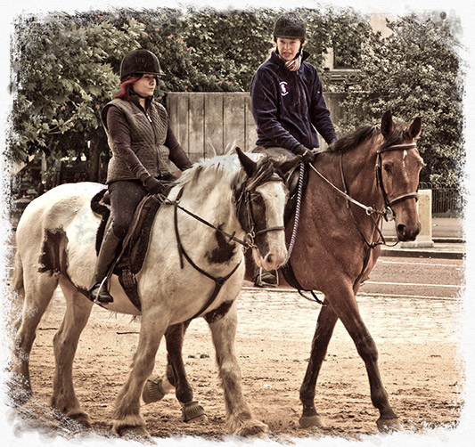 home_horse_pic10.jpg