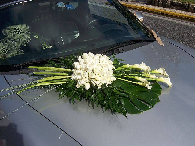100_8185.jpg