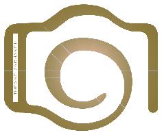 Ζαχάκου Θεανώ Η.