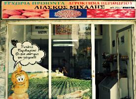 ΑΓΡΟΚΤΗΜΑ ΠΕΡΙΘΩΡΙΟΥ - ΛΙΑΣΚΟΣ ΜΙΧΑΛΗΣ 