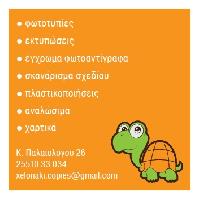 ΤΟ ΧΕΛΩΝΑΚΙ-ΜΠΟΣΝΙΔΟΥ ΜΑΡΙΑ