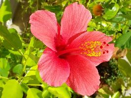 FILANTHI ROOMS - ΔΗΜΟΠΟΥΛΟΥ ΕΥΓΕΝΙΑ