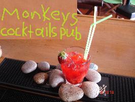 MONKEYS CAFE PUB-ΘΕΟΧΑΡΗ ΣΟΥΛΤΑΝΑ