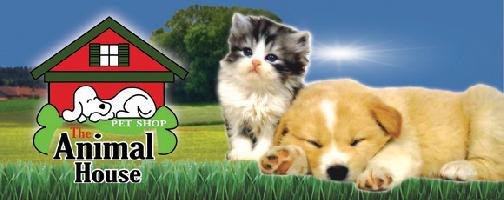 THE ANIMAL HOUSE - ΔΕΦΕΡΑΝΟΣ ΝΙΚΟΛΑΟΣ