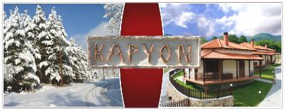 ΚΑΡΥΟΝ ( ΔΙΑΜΑΝΤΗΣ ΣΕΡΕΦΙΑΣ)