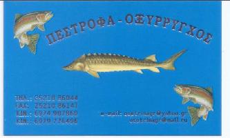 ΙΧΘΥΟΤΡΟΦΕΙΟ ΠΕΣΤΡΟΦΑΣ & ΟΞΥΡΡΥΓΧΟΣ ΑΕ ΟΕ (ΧΡΗΣΤΟΣ ΣΕΛΒΙΔΗΣ)