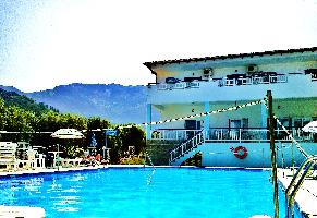 ΣΟΥΖΥ (Γκρετσίκου Σουζάνα Δ.)