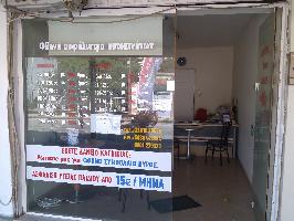 ΑΛΕΞΑΝΔΡΑΚΗΣ ΝΙΚΟΛΑΟΣ