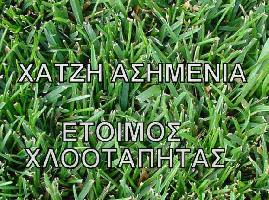 ΧΑΤΖΗ ΑΣΗΜΕΝΙΑ