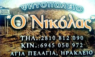 Ο ΝΙΚΟΛΑΣ (ΣΓΟΥΡΑΚΗΣ ΒΑΓΓΕΛΗΣ)