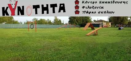 ΚΥΝΟΤΗΤΑ  - ΜΠΑΖΙΑΝΑΣ ΚΩΝΣΤΑΝΤΙΝΟΣ