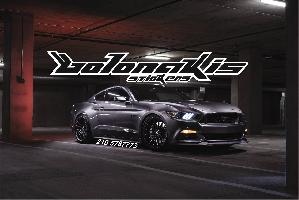 ΜΠΟΛΩΝΑΚΗΣ ΓΕΩΡΓΙΟΣ